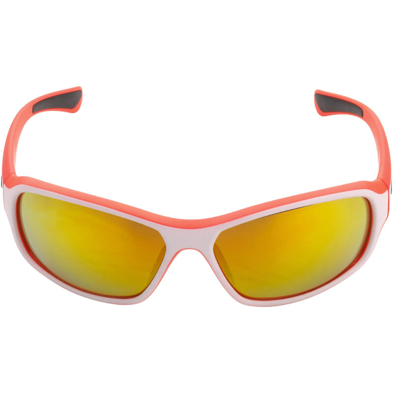 Swisseye Sportbrille / Sonnenbrille Freeride