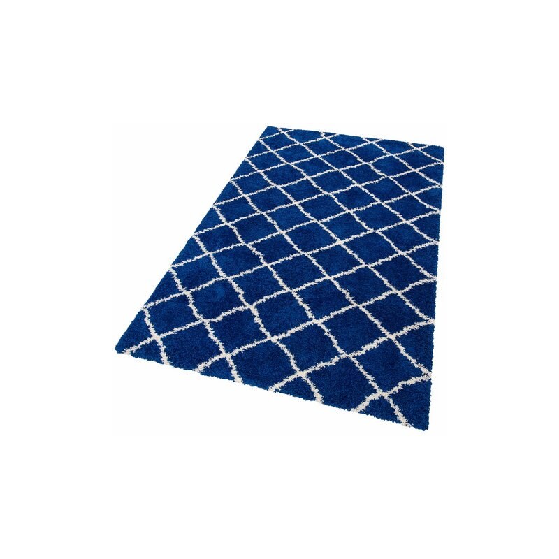 Hochflor-Teppich Collection Robin Höhe 40 mm gewebt HOME AFFAIRE COLLECTION blau 1 (B/L: 60x110 cm),2 (B/L: 80x150 cm),3 (B/L: 120x170 cm),4 (B/L: 160x230 cm),5 (B/L: 200x200 cm),6 (B/L: 200x300 cm),7