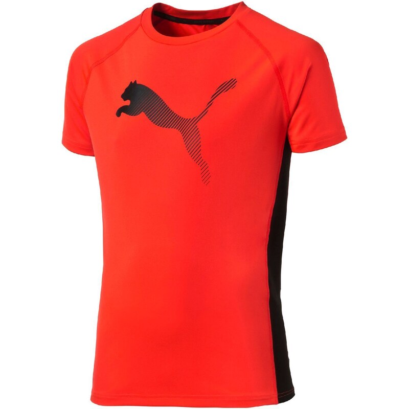 Puma T-Shirt - zweifarbig