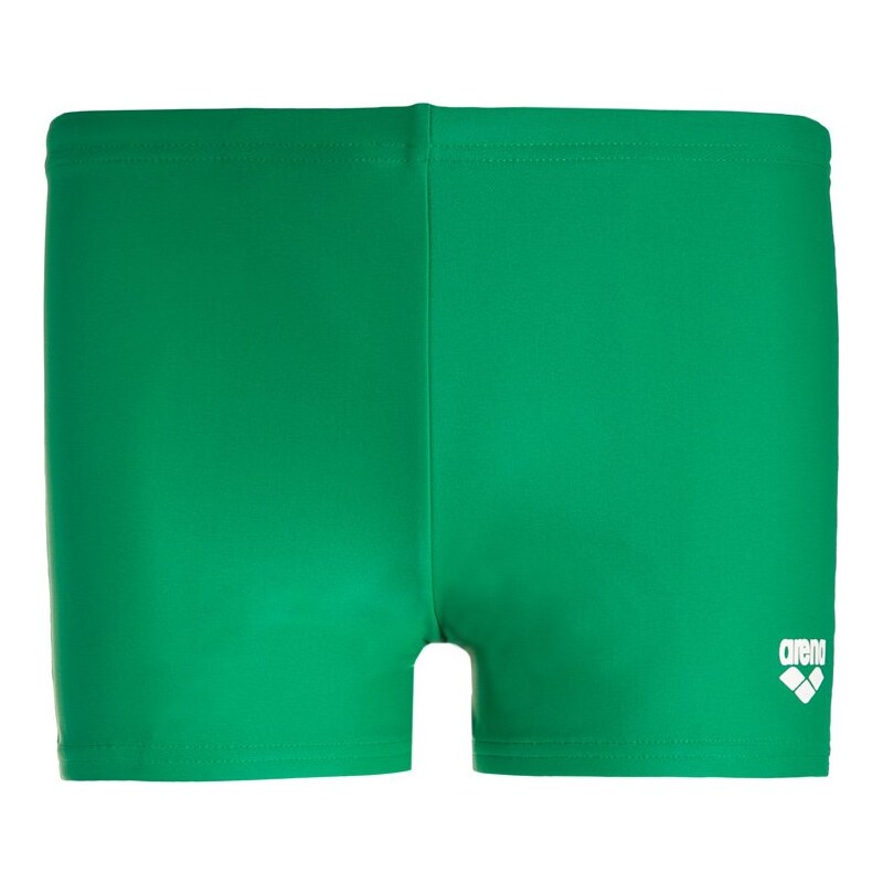 Arena SPONGE Badehosen Pants green/multicolor