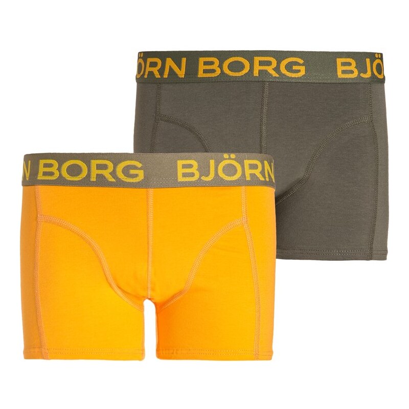 Björn Borg 2 PACK Panties beetle