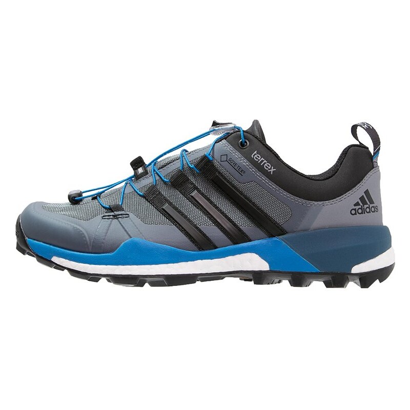 adidas Performance TERREX BOOST GTX Laufschuh Trail vista grey/core black/shock blue