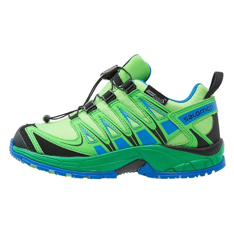 Salomon XA PRO 3D CSWP Laufschuh Trail tonic green/athletic green x/union blue