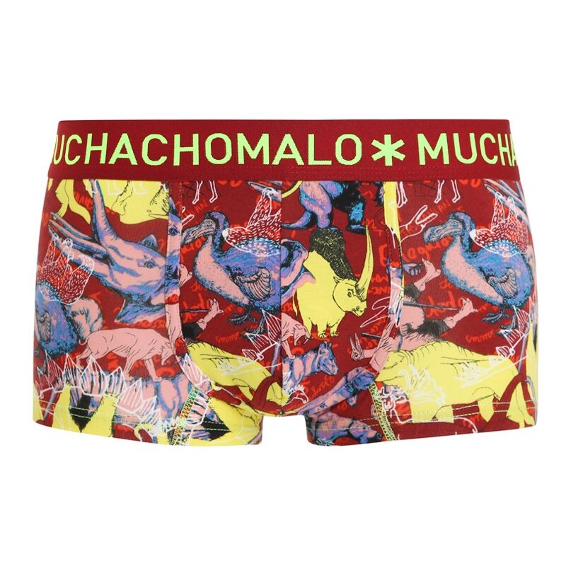 MUCHACHOMALO EXTINCT Panties multicolor
