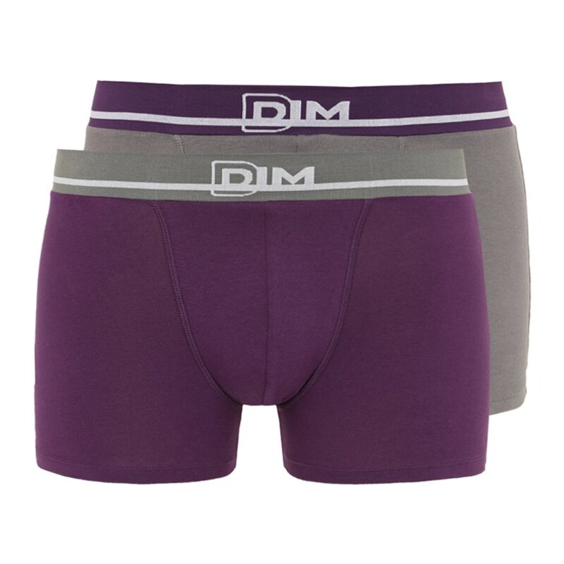 DIM CLASSIQUE 2 PACK Panties violet/gris