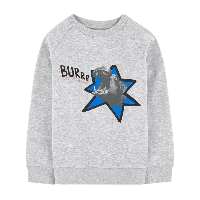 Stella McCartney Kids Sweatshirt mit Motiv aus Bio-Baumwolle