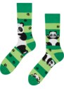 Dedoles Lustige Socken Panda und Streifen